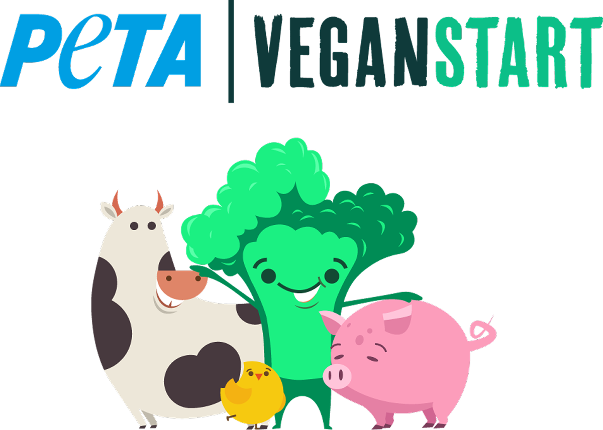 - Bildmaterial von Vegane Fleischerei