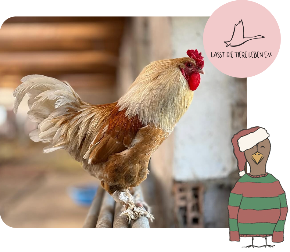 Die Vegane Fleischerei