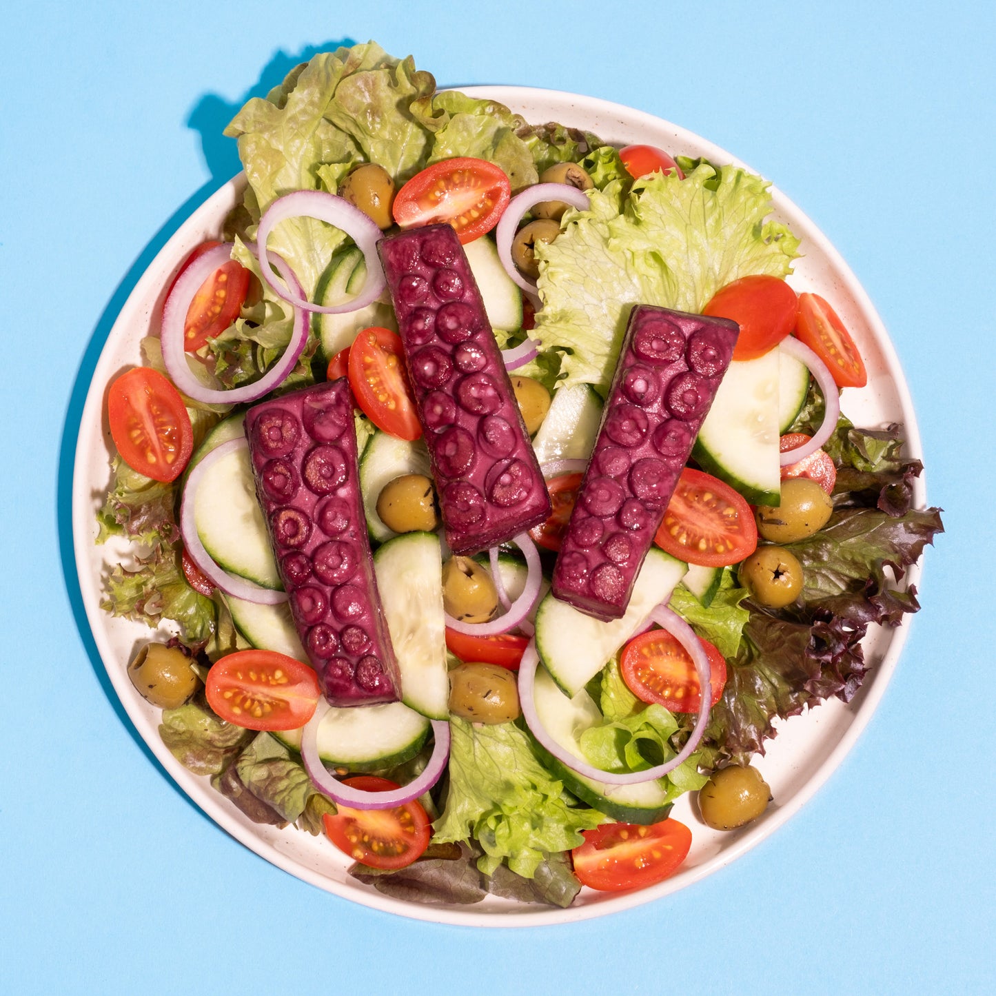 Veganer Revo Kraken auf gemischtem Salatteller vor blauem Hintergrund.